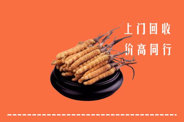 高价求购：百色市德保县回收散虫草