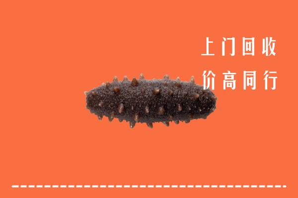 高价求购：百色市德保县回收海参
