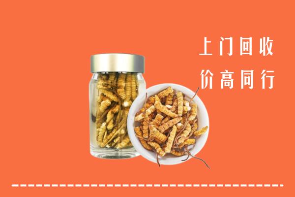 百色市德保县回收冬虫夏草