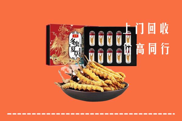 百色市德保县回收虫草